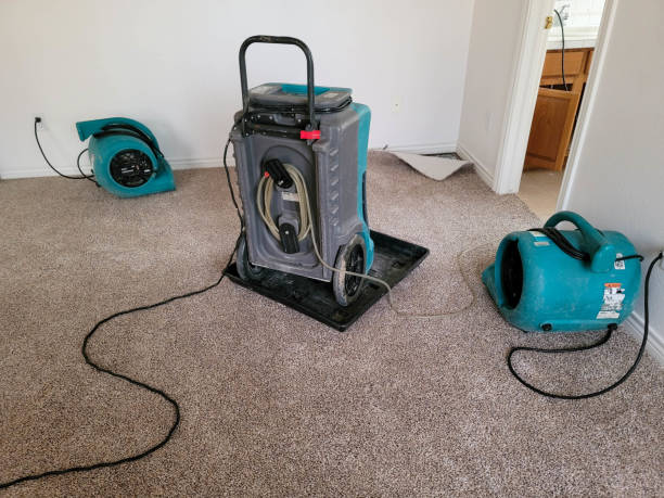 Best Local water damage restoration  in Narragansett Pier, RI