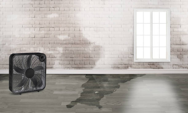 Best Water damage cleanup near me  in Narragansett Pier, RI