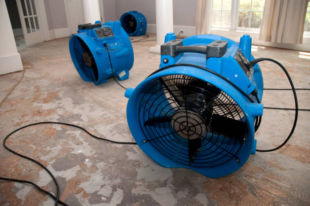Best 24/7 water damage repair  in Narragansett Pier, RI